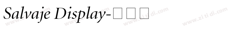 Salvaje Display字体转换